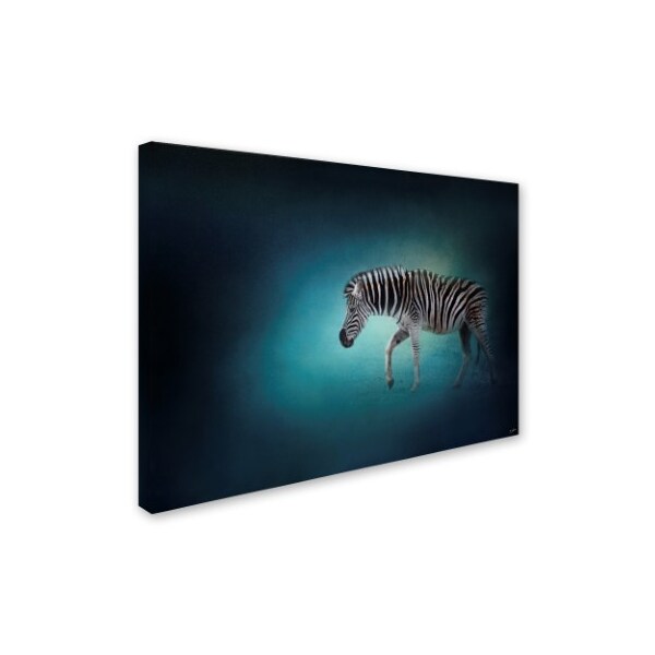 Jai Johnson 'Zebra In The Moonlight' Canvas Art,18x24